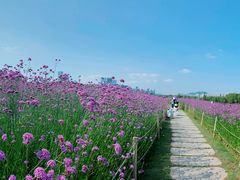 -深圳湾公园(南山区)