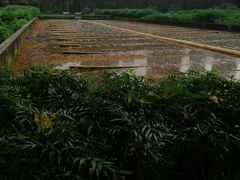 -重庆彩云湖湿地公园