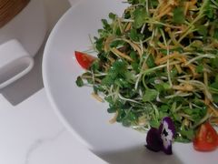 -小桃红·东北菜·春饼烤鸭(南阳湖街店)