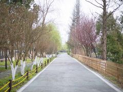 -洋湖国家湿地公园