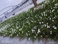 -绿地万豪酒店-城市节奏餐厅