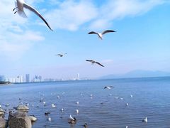 -深圳湾公园(南山区)