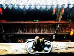 -普洱茶府(博乐广场店)
