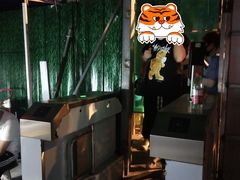 -郭阿姨月亮馍