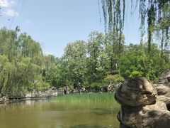 -莲湖公园