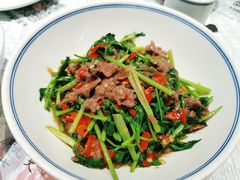 -壹盏灯(惠农店)
