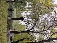 -丰台科技园生态主题公园