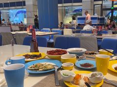 -帝企鹅自助餐厅•儿童岛•真企鹅(长隆企鹅酒店)