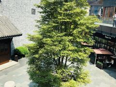 -星巴克(成都太古里二店)