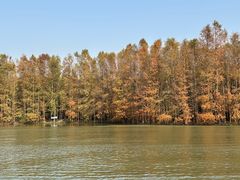 -上海海湾国家森林公园