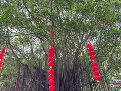 -广州市白云山风景名胜区