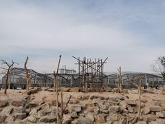 -太原动物园