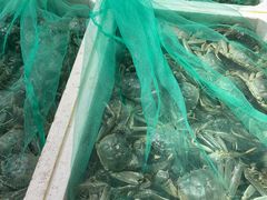 -济南海鲜大市场