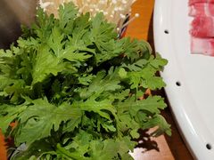 -乐宴·老北京铜火锅(桂庙店)