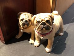 门面-财神鸡煲(华强北店)