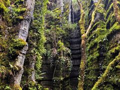 -梭布垭石林景区