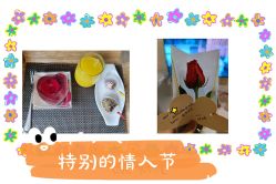 -贝美月子中心(半坡店)