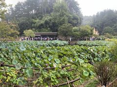 -韶山毛泽东同志故居