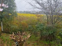 -武汉紫薇都市田园