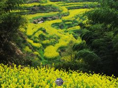 -灵山景区梯田