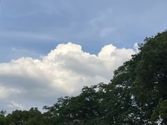 -回味鸭血粉丝汤(砂之船店)