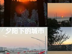 -华侨公园