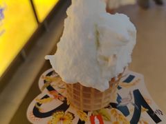 -野人先生Gelato(上海长宁龙之梦店)