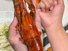 -新光酒家·河豚·海鲜·蟹料理(浦东店)