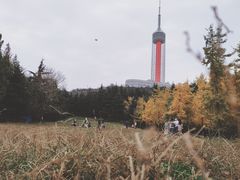 -富斯特索道