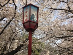 -名古屋城