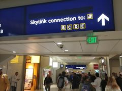 -达拉斯 沃斯堡国际机场