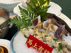 -喜聚薈·花膠雞海鮮火鍋(越秀店)