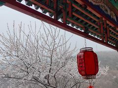 -妙峰山风景名胜区