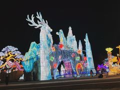 -淄博花灯齐彩城