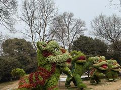 -洛阳市隋唐城遗址植物园