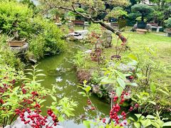 -上海醉白池公园