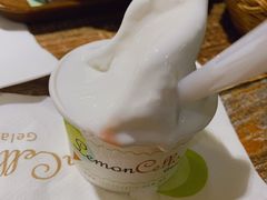-柠檬车露(卖草地店)