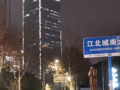 -重庆市江北嘴中央商务区中央公园