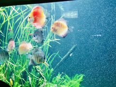 -成都浩海立方海洋公园