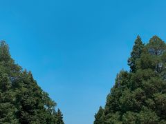 -辽沈战役纪念馆