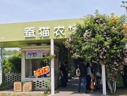 -太湖雪蚕桑文化园