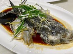 -壹号渔村(齐富路店)