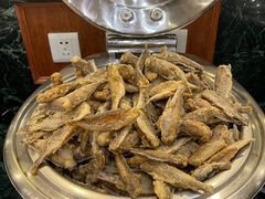 -碧中海汤泉汗蒸酒店