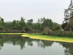 -桤木河湿地公园