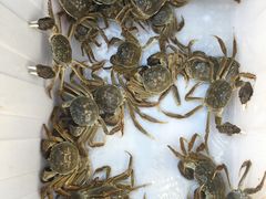 -乡乐园蟹庄·阳澄湖农家乐