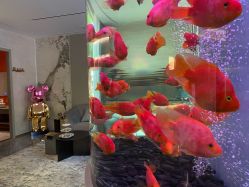 -新蝶变皮肤管理中心