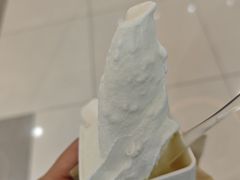 -野人先生Gelato(上海长宁龙之梦店)