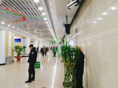 -奥体中心(地铁站)