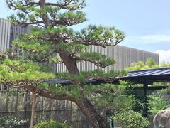 -滨千鸟之汤 海舟