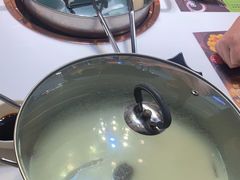 -洪氏嗨捞·猪肚鸡火锅(阳光天地店)